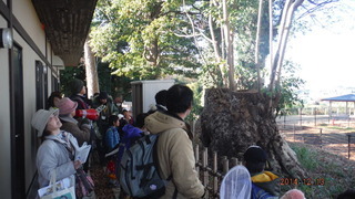 田んぼや水路で生き物観察