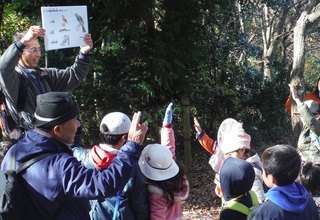 野鳥クイズ2問目