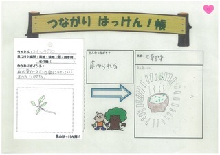 リーダー達による総評。今日の里山はっけん隊のことはもちろん、里山や森林、水など色々な自然環境の大切さを伝えてくれました。