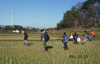 普通は入れない田んぼの中で生きものを自由にはっけん！昆虫はいないけど冬のたんぼでは何が見つけられるかな？