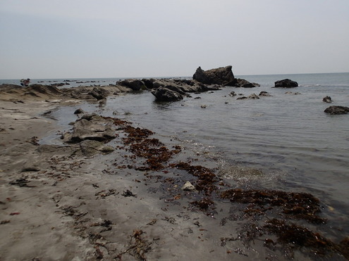 一色海岸風景