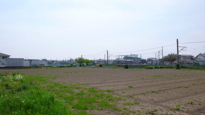 七堂伽藍跡の様子