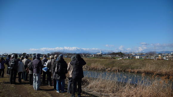 2013年の観察会の様子（西久保にて）