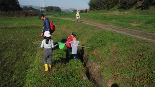 水路ではっけん