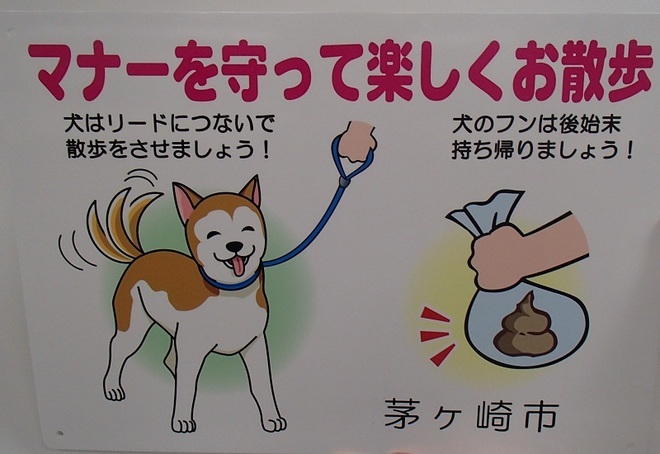 犬のふん放置禁止看板（大）　350×500（ミリメートル）