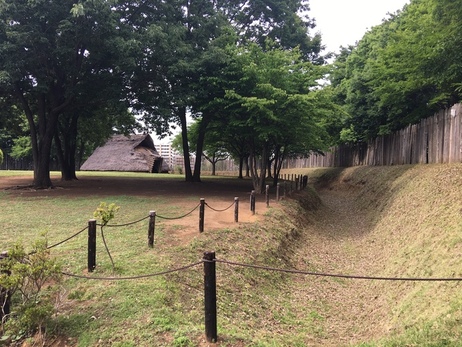 大塚・歳勝土遺跡の様子