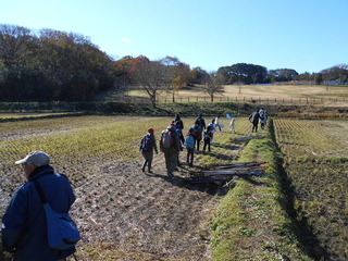 田んぼで観察