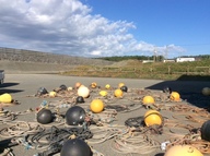 浮き球と養殖縄