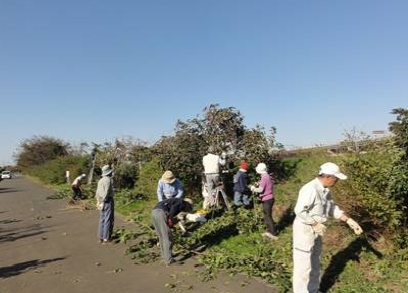 小出川に親しむ会の活動