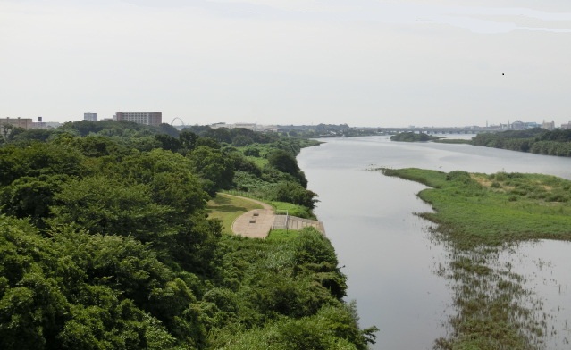 相模川の風景