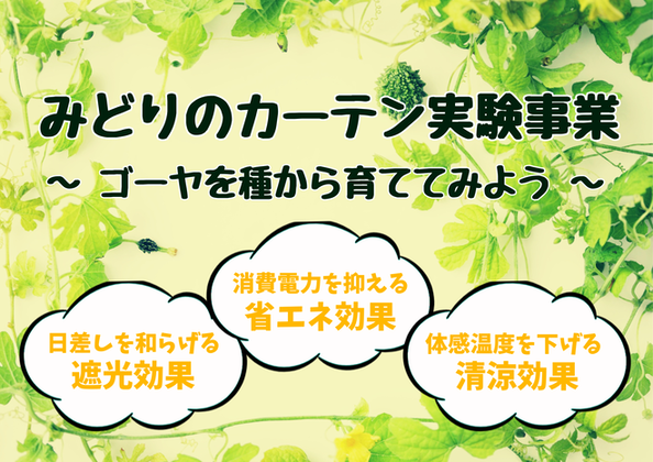 みどりのカーテン用のゴーヤの種を無料で配布