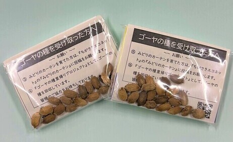ゴーヤの種