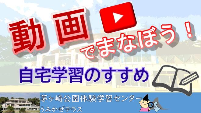 動画でまなぼう！自宅学習のすすめ