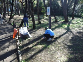 除草作業の様子