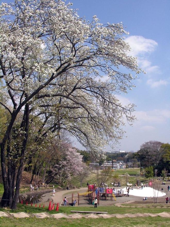 17:茅ケ崎里山公園