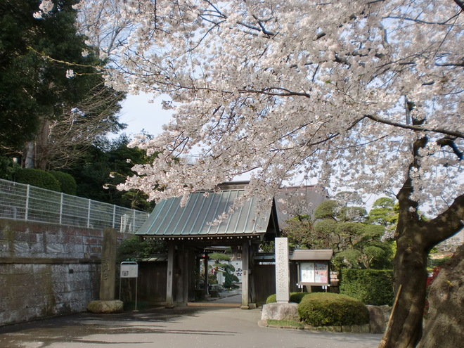 11:浄見寺