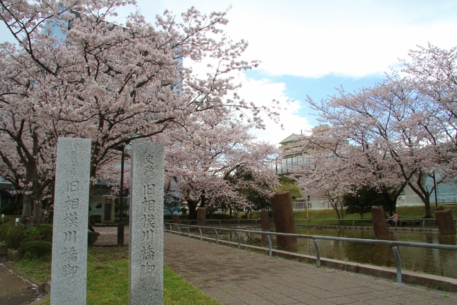 8:旧相模川橋脚