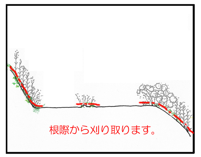 外来種の多い区間の借り方説明図