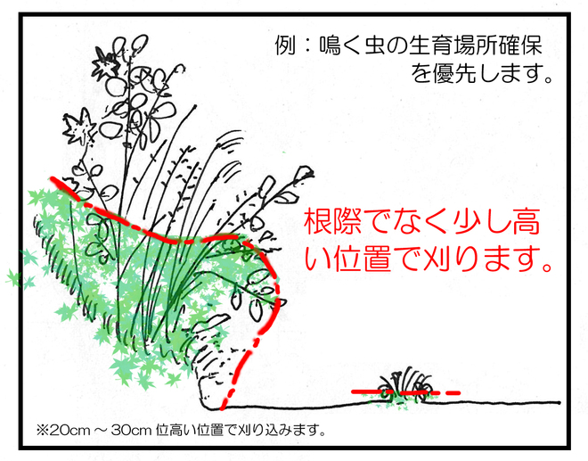 生きものの隠れ場所を残す管理の説明図