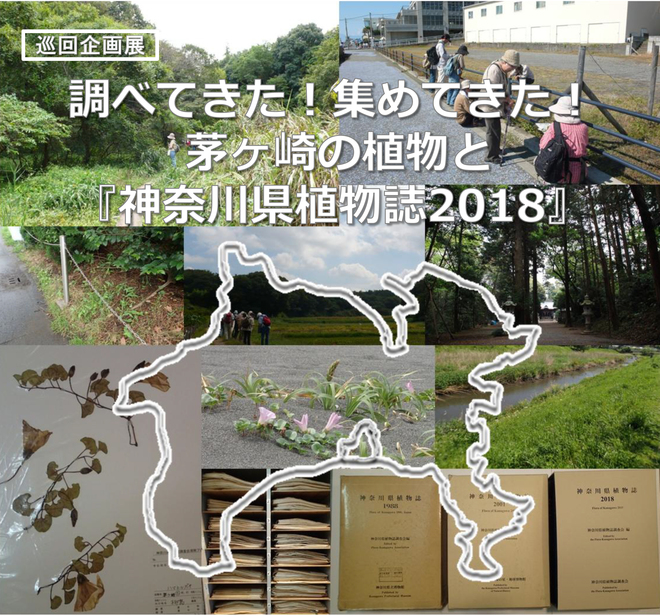 巡回企画展「調べてきた！集めてきた！茅ヶ崎の植物と『神奈川県植物誌2018』」