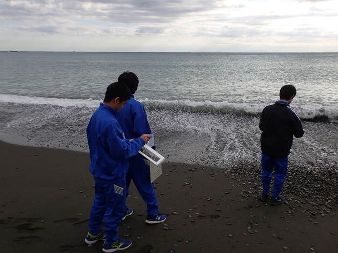 海岸で調査