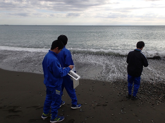 海岸で調査