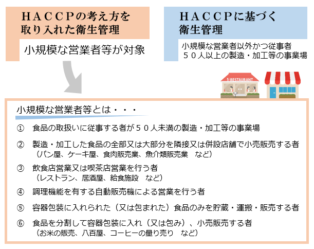 HACCP分岐