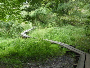 清水谷の木道