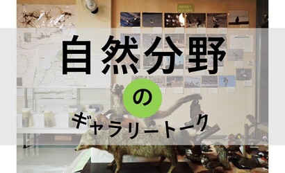 自然分野のギャラリートークのページへ