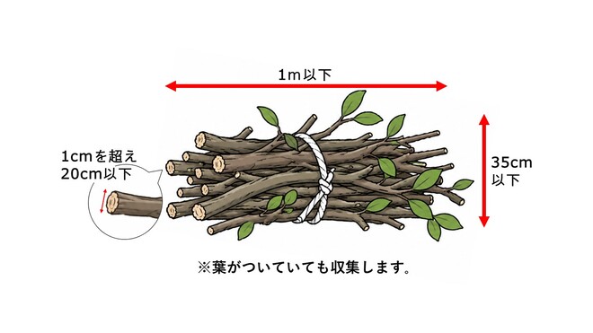 剪定枝のイメージ