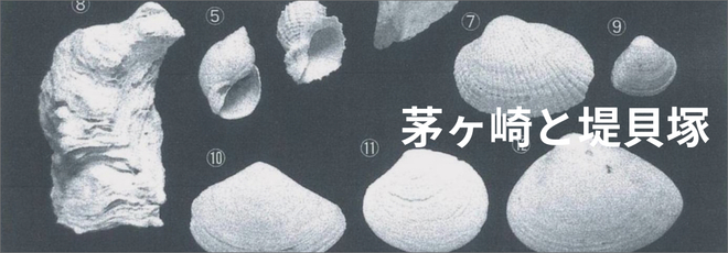 茅ヶ崎と堤貝塚画像