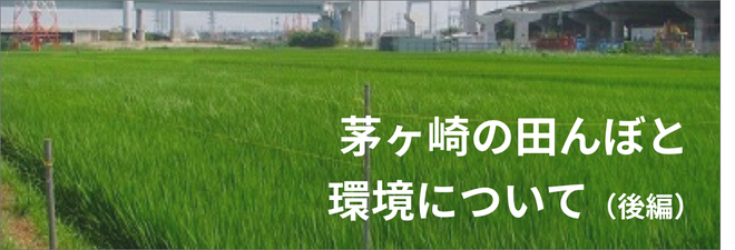 茅ヶ崎の田んぼと環境について画像