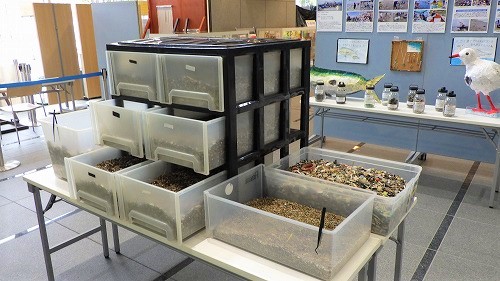 5:茅ヶ崎海岸で回収したマイクロプラスチック