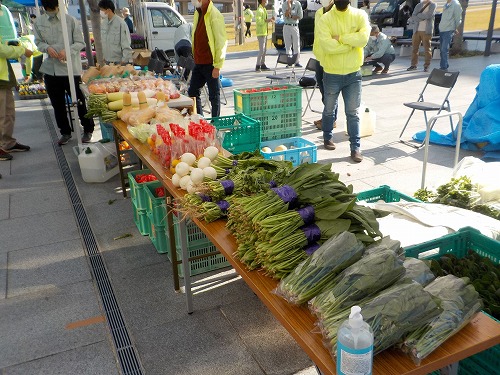 2:たくさんの野菜が並びました！