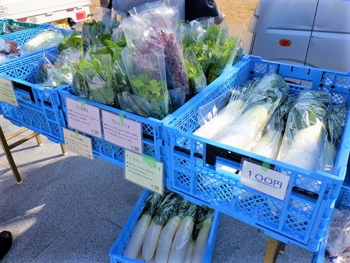 1:石川さんと脇さんの野菜