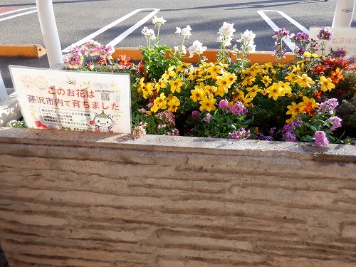 3:藤沢市の花壇