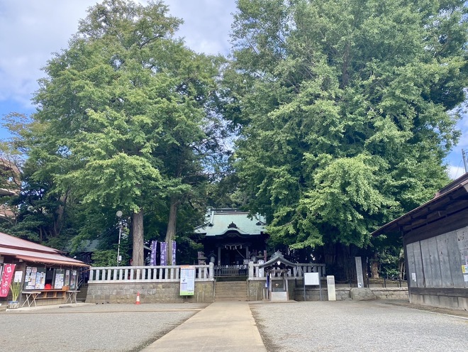 鶴嶺八幡宮社殿