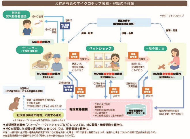 犬猫所有者のマイクロチップ装着・登録の全体像