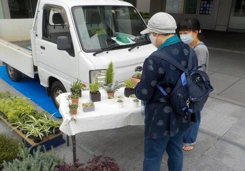 5:多肉植物の育て方も聞けます