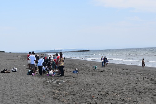 茅ヶ崎海岸でのマイクロプラスチック抽出の様子