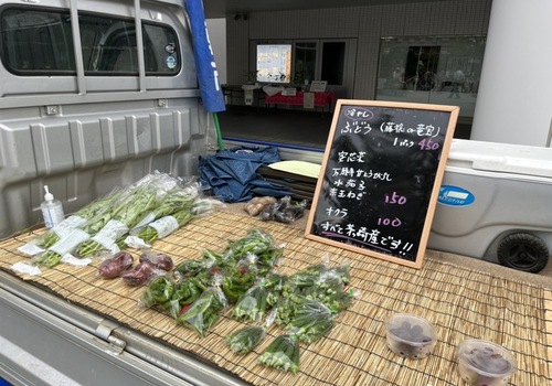 茅ヶ崎産野菜の直売も行われました