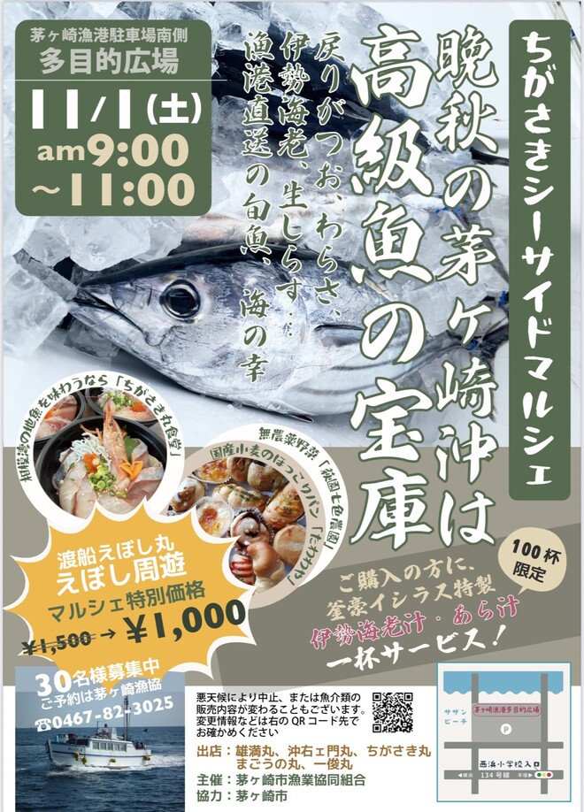 110画像
