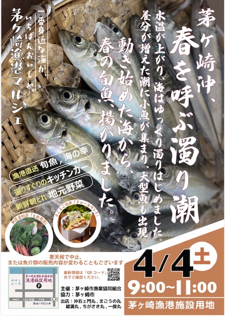 茅ヶ崎漁港マルシェ2