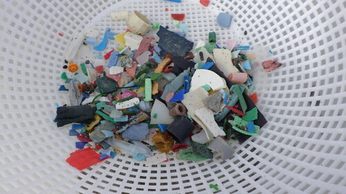 4:収集したマイクロプラスチック
