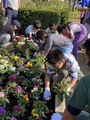 3:「写真」市内企業の協賛による100個以上のポットの中から、好きな花を選んで花壇に植えていきます。