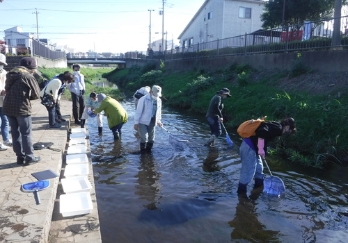 1:「写真」写真1水生生物観察（1）