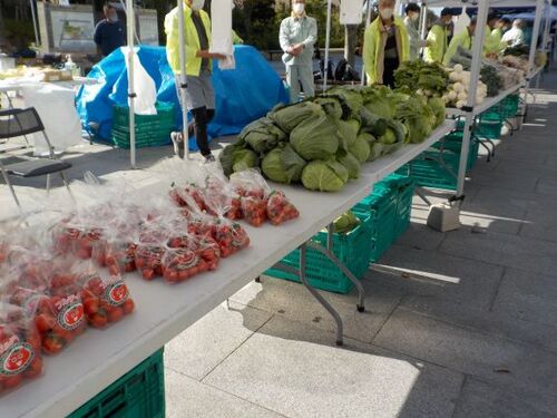 2:「写真」当日並んだ野菜（1）