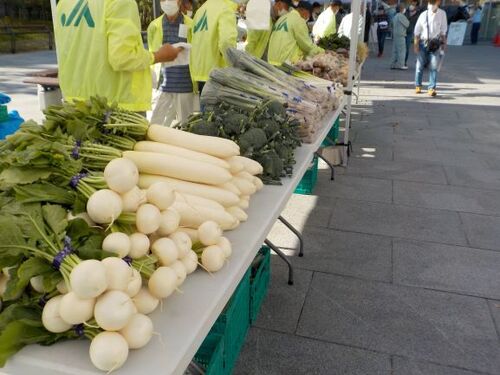 3:「写真」当日並んだ野菜（2）