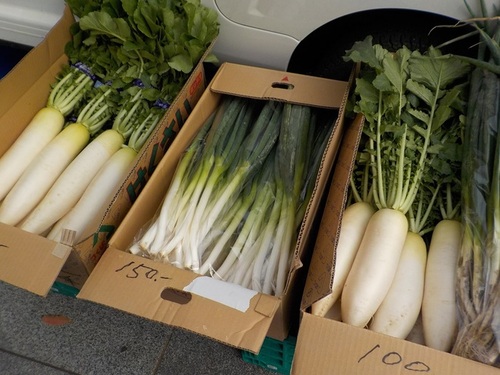 1:「写真」旬の大根は葉っぱもおいしく食べられます