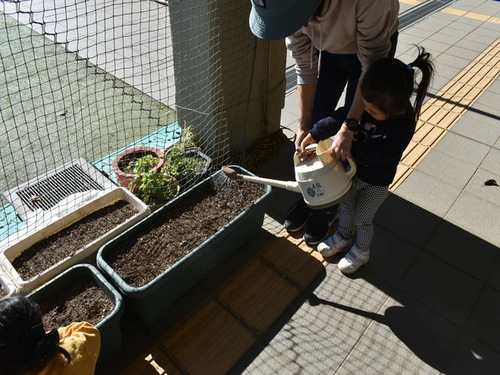 3:「写真」大きく育ってね